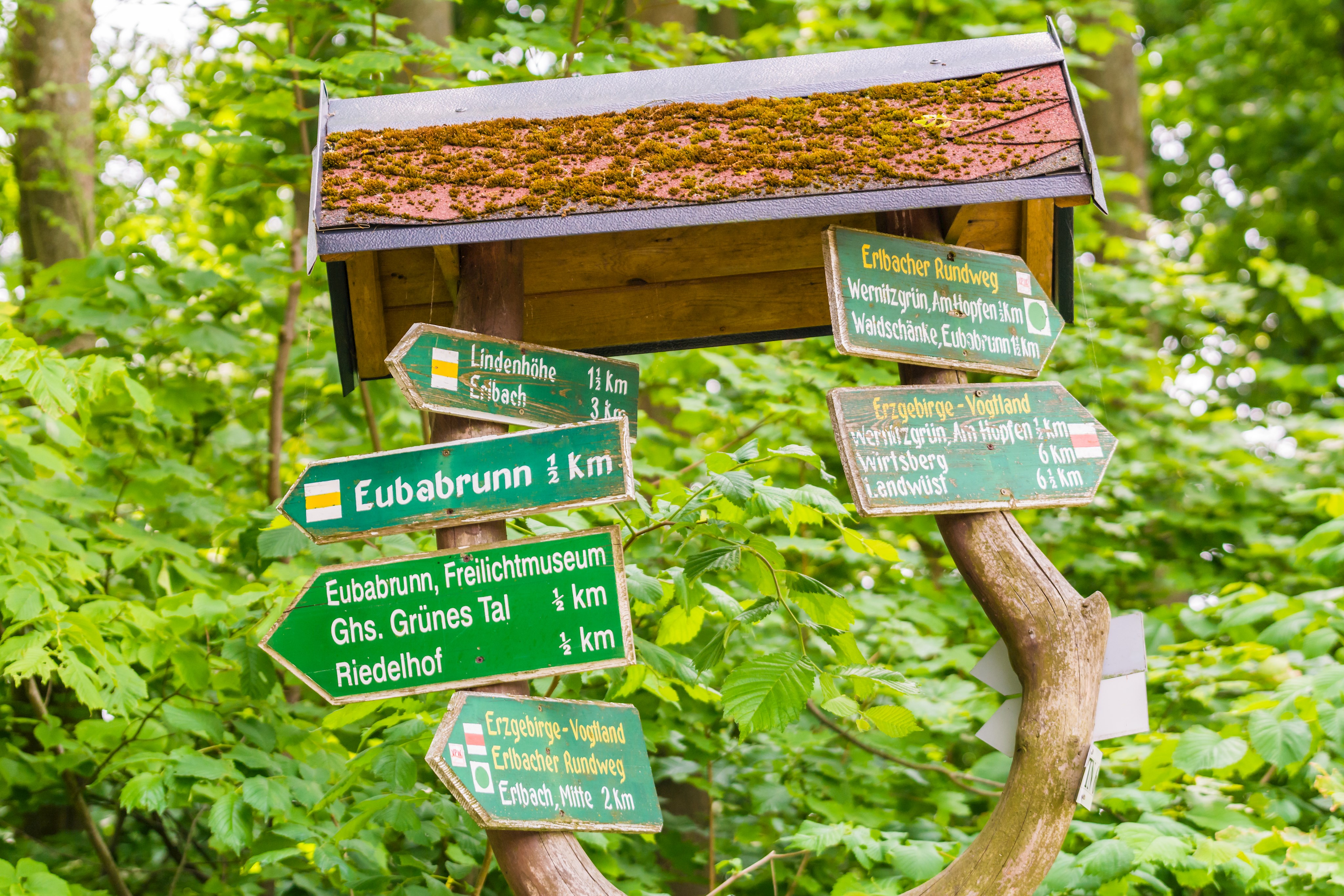 Wegweiser im Wald