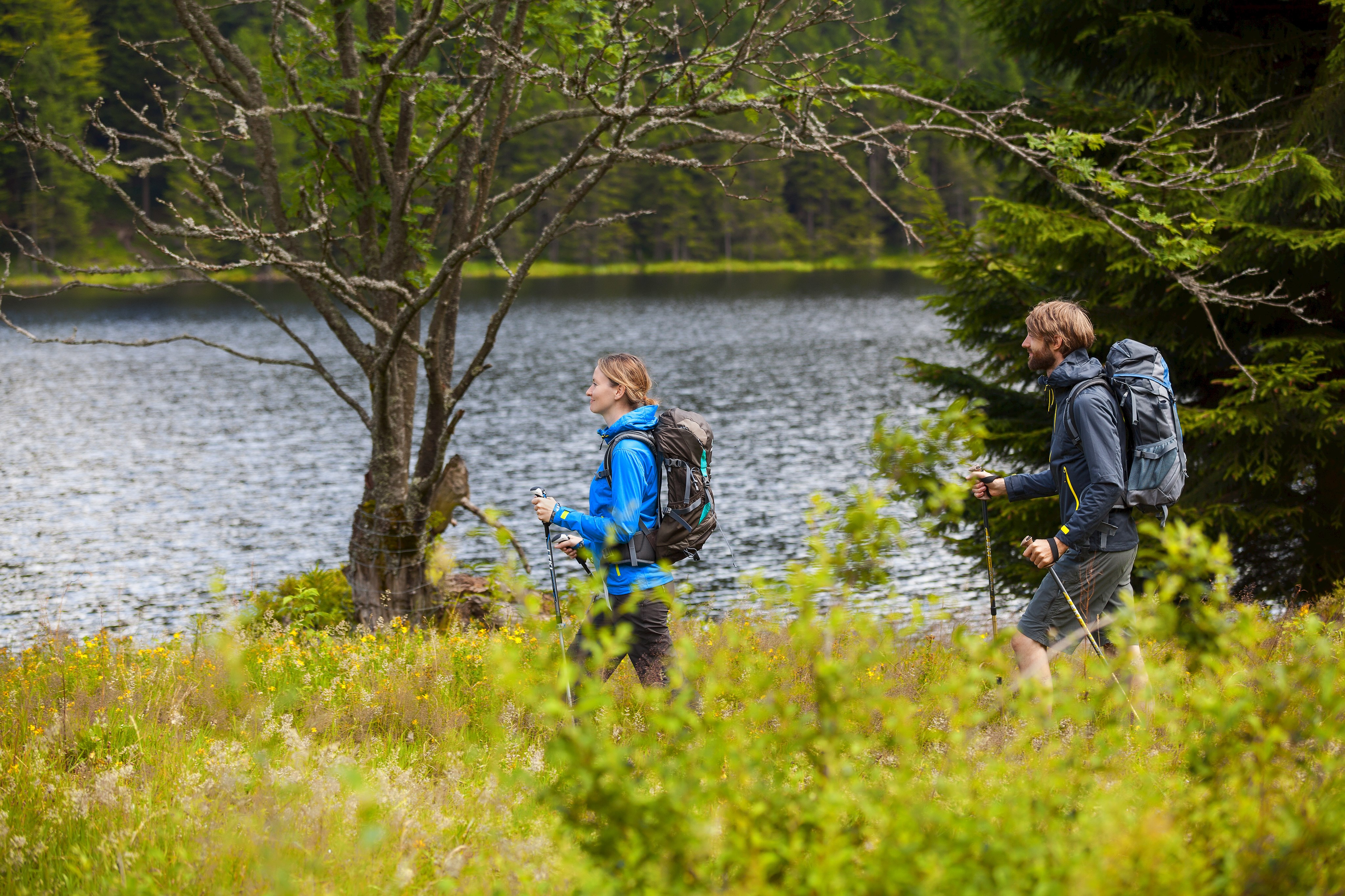 Natur hautnah erleben im Nationalpark Musterhofen