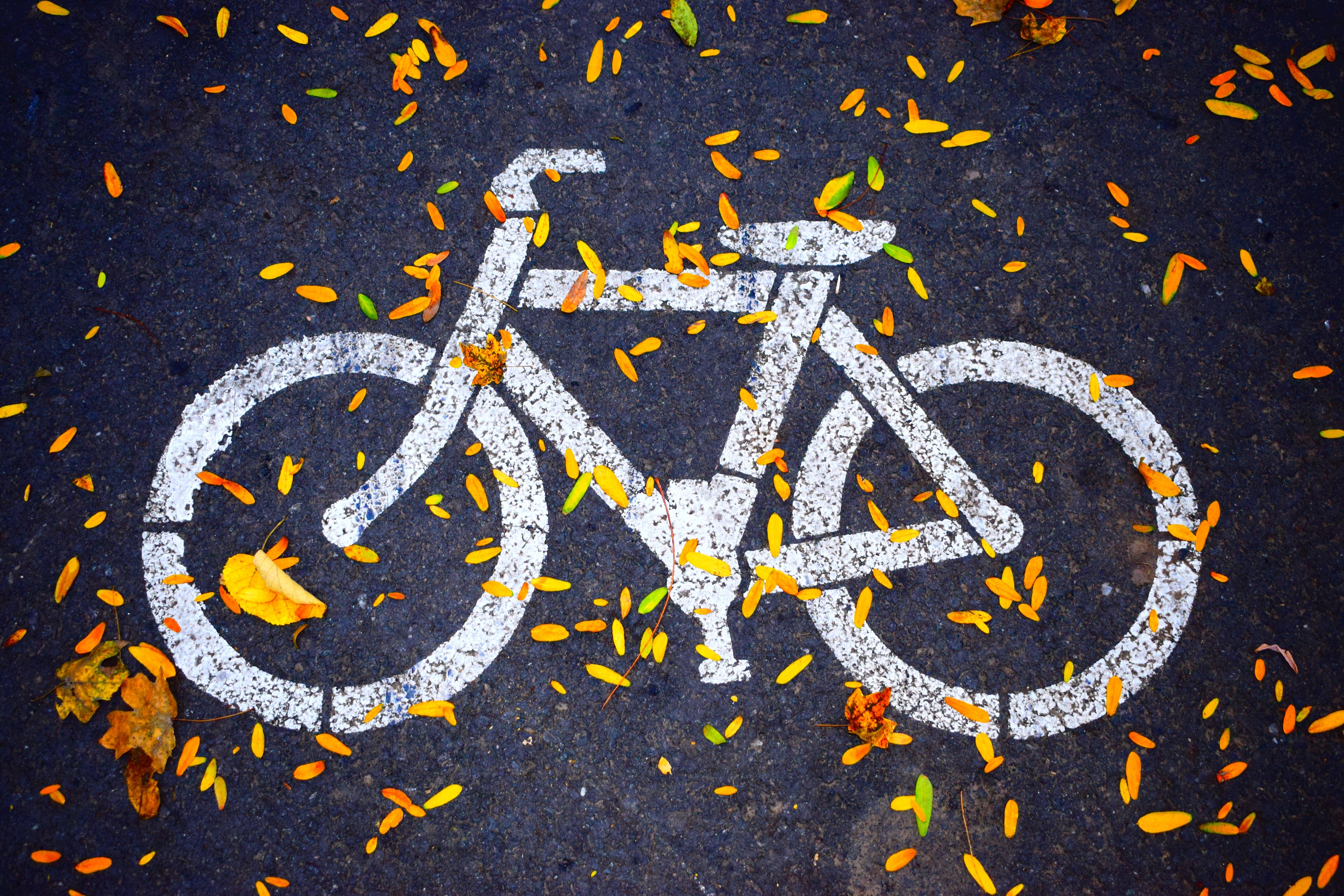 Weißes Fahrrad auf blätterbedecktem Asphalt